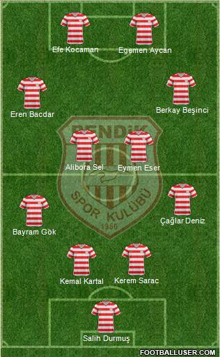 Pendikspor Formation 2014