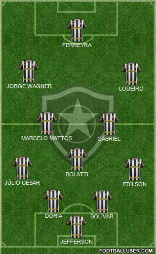 Botafogo FR Formation 2014