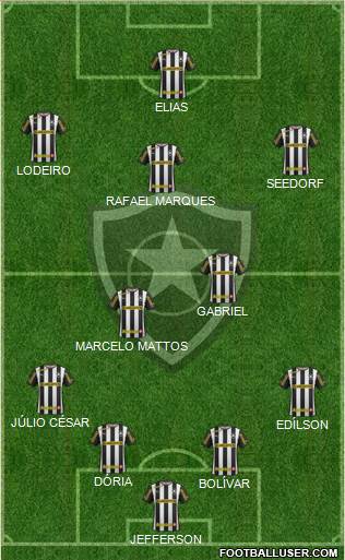 Botafogo FR Formation 2014