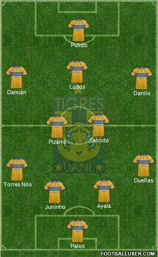 Club Universitario de Nuevo León Formation 2014