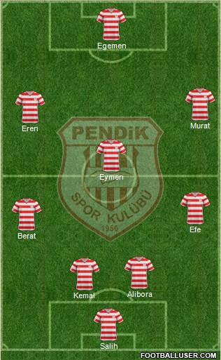 Pendikspor Formation 2014