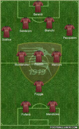 Salernitana Formation 2014