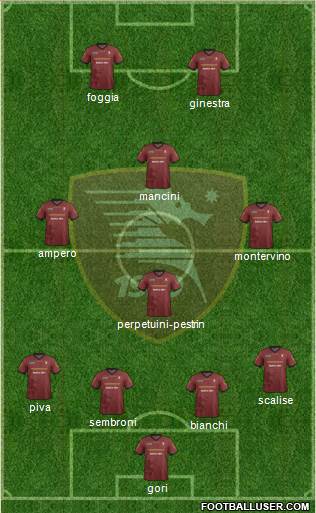 Salernitana Formation 2014