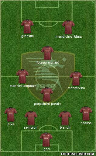 Salernitana Formation 2014