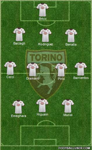 Torino Formation 2014