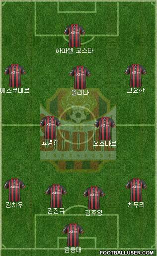 FC Seoul Formation 2014