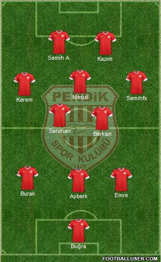 Pendikspor Formation 2014