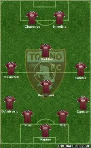 Torino Formation 2014