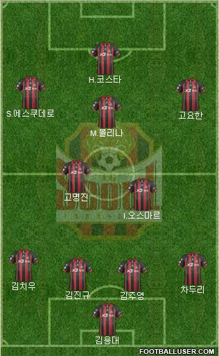 FC Seoul Formation 2014