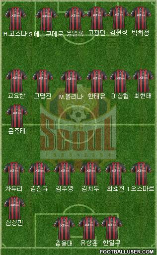 FC Seoul Formation 2014