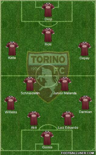 Torino Formation 2014