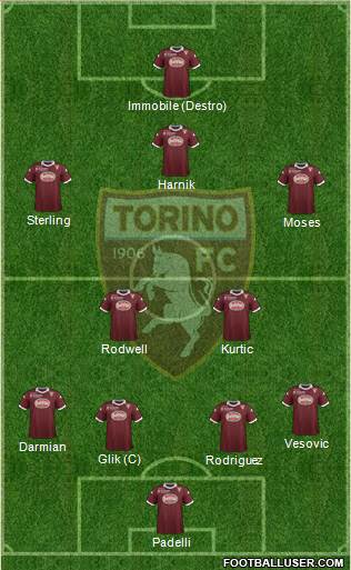 Torino Formation 2014