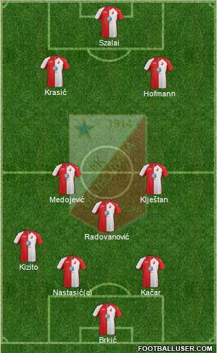 FK Vojvodina Novi Sad Formation 2014