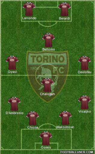 Torino Formation 2014