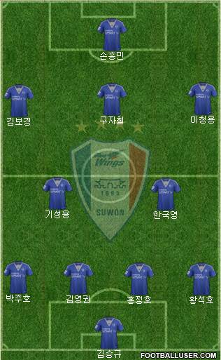 Suwon Samsung Blue Wings Formation 2014