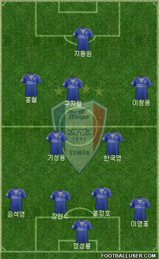 Suwon Samsung Blue Wings Formation 2014