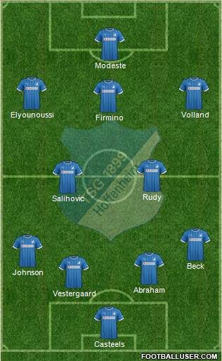 TSG 1899 Hoffenheim Formation 2014