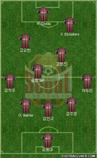 FC Seoul Formation 2014