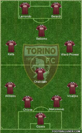 Torino Formation 2014