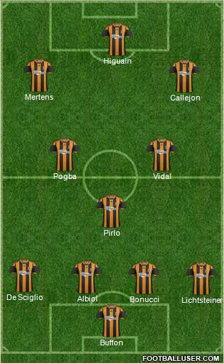 Hull City Formation 2014