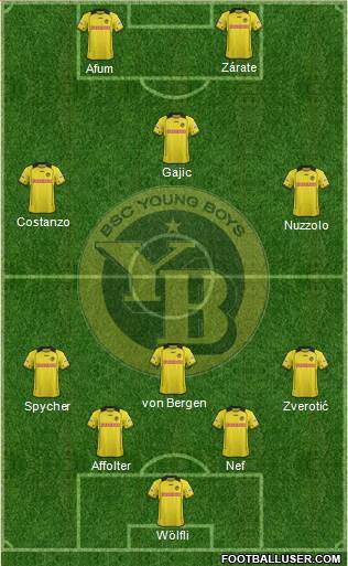 BSC Young Boys Formation 2014