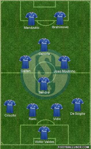 FC Schalke 04 Formation 2014