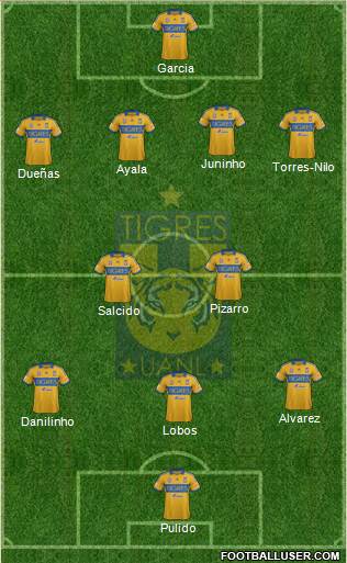 Club Universitario de Nuevo León Formation 2014