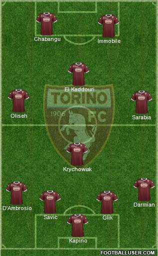 Torino Formation 2014