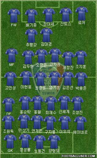 Suwon Samsung Blue Wings Formation 2014