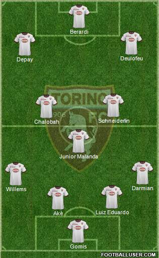 Torino Formation 2014