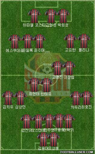 FC Seoul Formation 2014