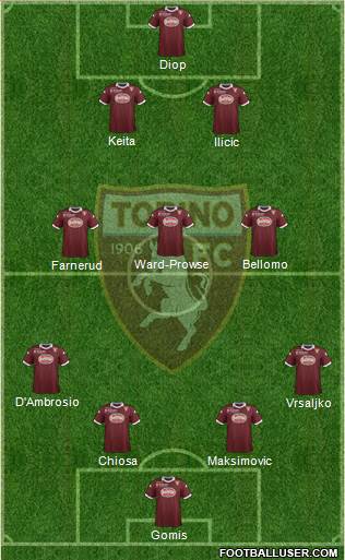 Torino Formation 2014