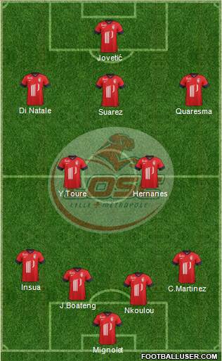 LOSC Lille Métropole Formation 2014