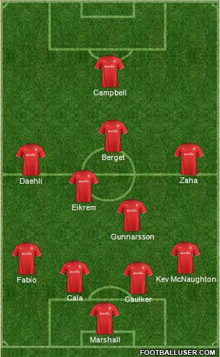 Cardiff City Formation 2014