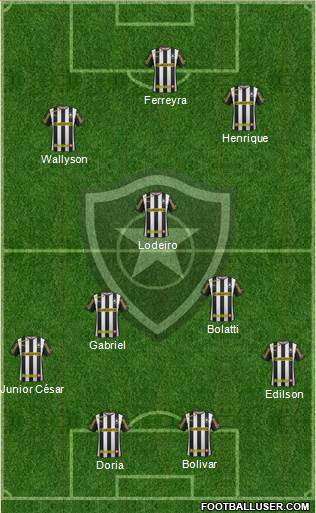 Botafogo FR Formation 2014