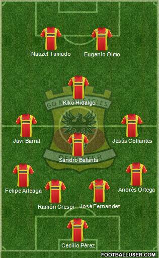 Go Ahead Eagles Formation 2014