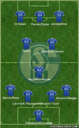 FC Schalke 04 Formation 2014