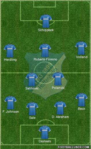 TSG 1899 Hoffenheim Formation 2014