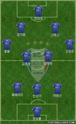 Suwon Samsung Blue Wings Formation 2014