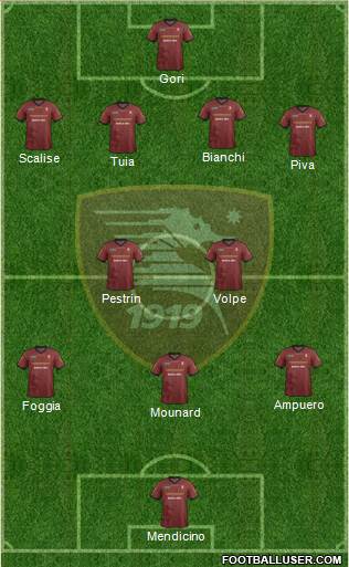 Salernitana Formation 2014