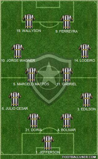 Botafogo FR Formation 2014