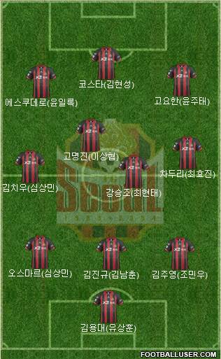 FC Seoul Formation 2014