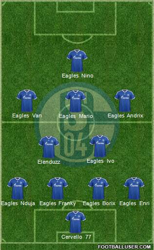 FC Schalke 04 Formation 2014