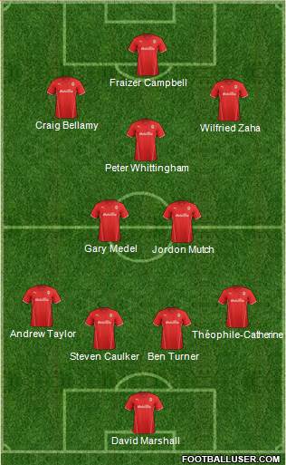 Cardiff City Formation 2014