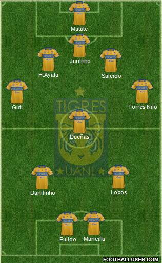 Club Universitario de Nuevo León Formation 2014