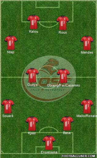 LOSC Lille Métropole Formation 2014