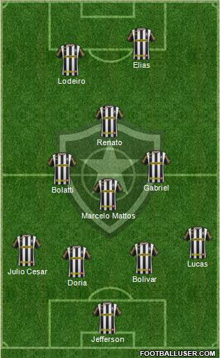 Botafogo FR Formation 2014