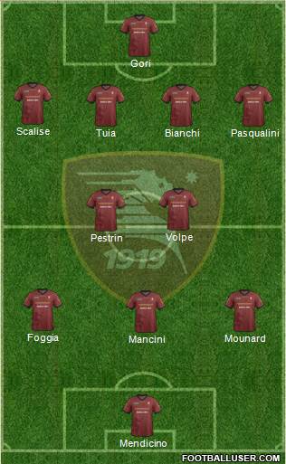 Salernitana Formation 2014