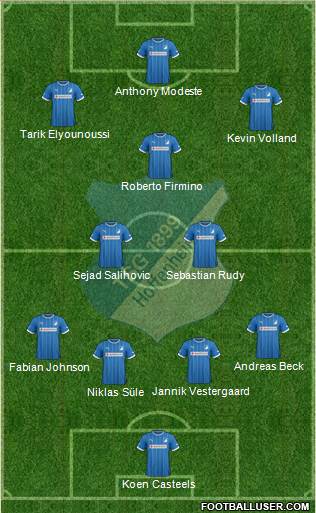 TSG 1899 Hoffenheim Formation 2014