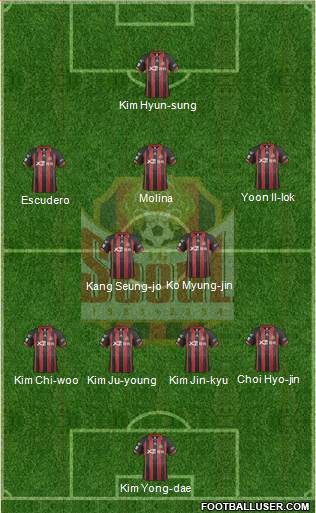 FC Seoul Formation 2014